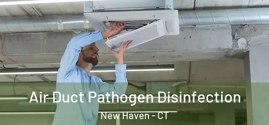  Air Duct Pathogen Disinfection New Haven - CT