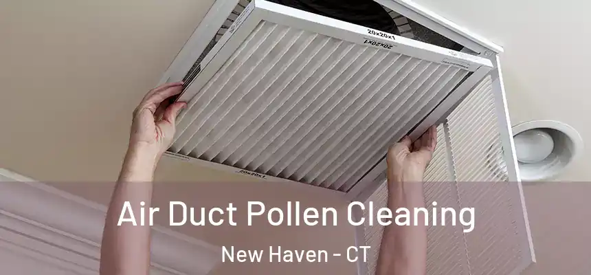  Air Duct Pollen Cleaning New Haven - CT