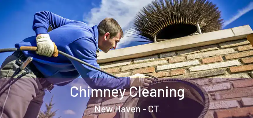  Chimney Cleaning New Haven - CT