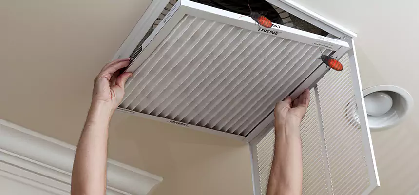 Preventive Cockroach-Proofing for Ducts in New Haven