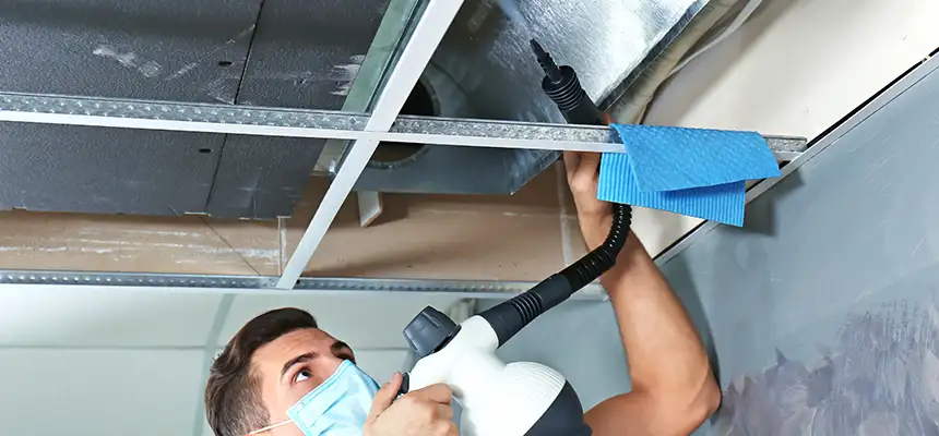 Our Air Duct Rodent Removal Services in New Haven, CT