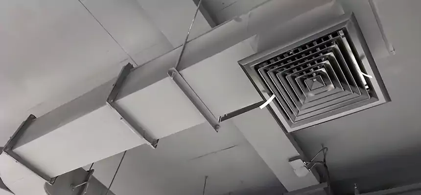 Restorative Allergy Relief Vent Cleaning – Coil, Blower & Housing Detail in New Haven