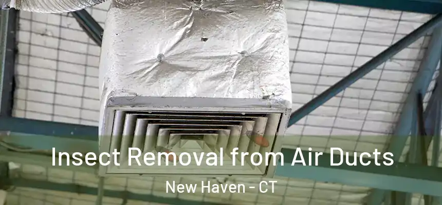  Insect Removal from Air Ducts New Haven - CT