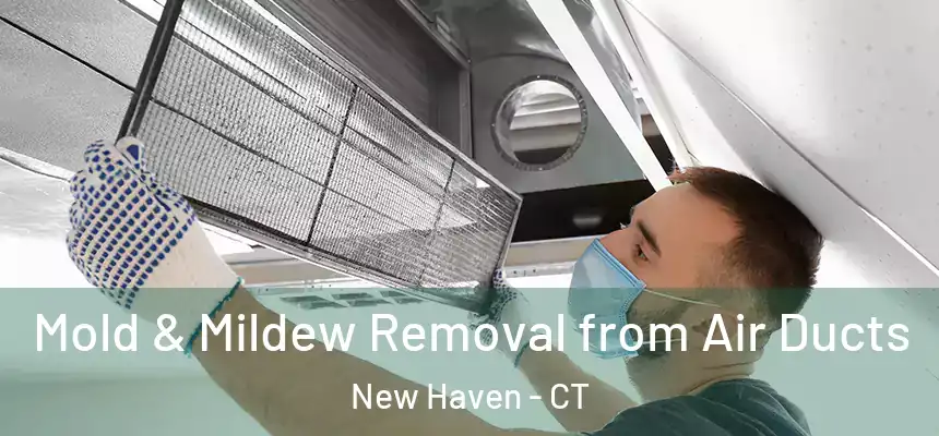  Mold & Mildew Removal from Air Ducts New Haven - CT