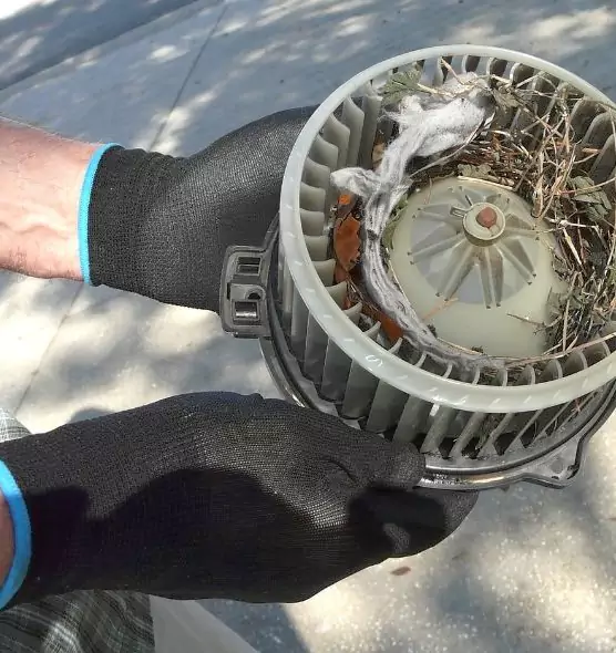 About Air Duct Mice Removal in New Haven, CT