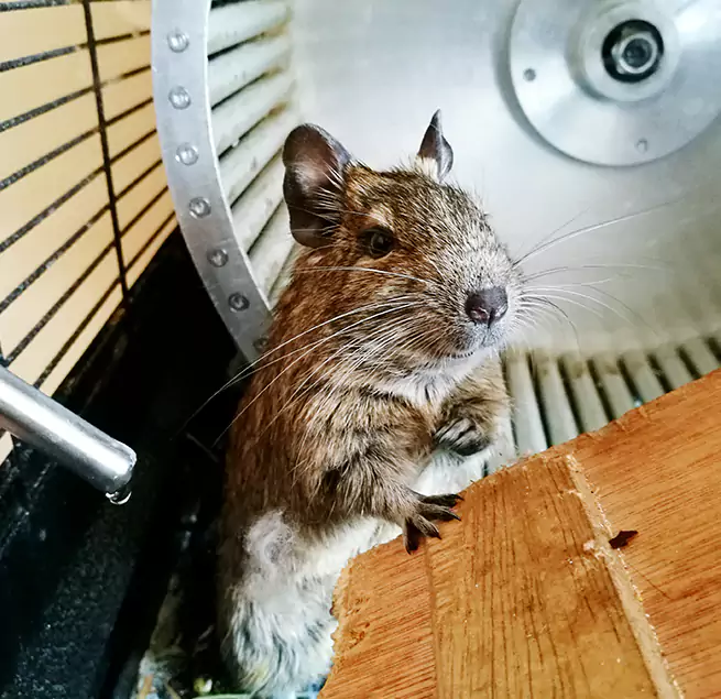 Why Homeowners & Businesses Trust Us New Haven, CT