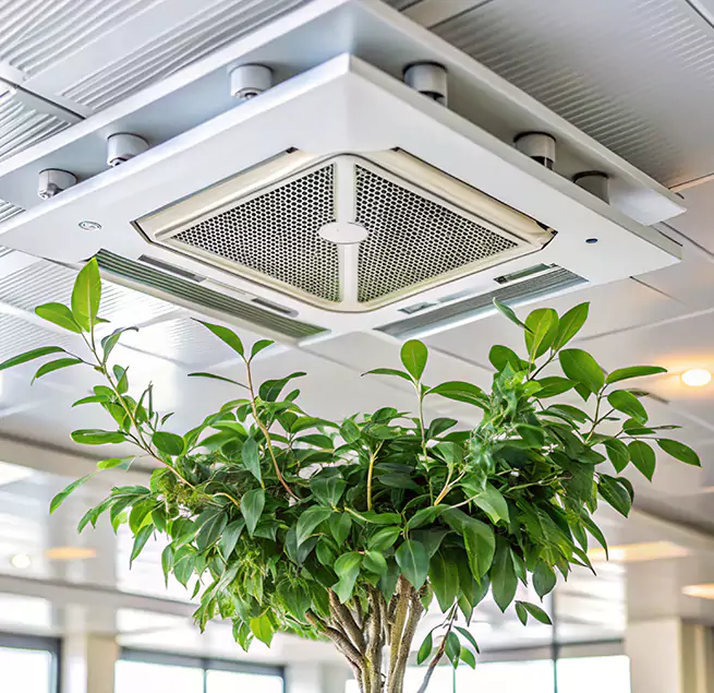 Why Homeowners & Businesses Trust Us in New Haven, CT?