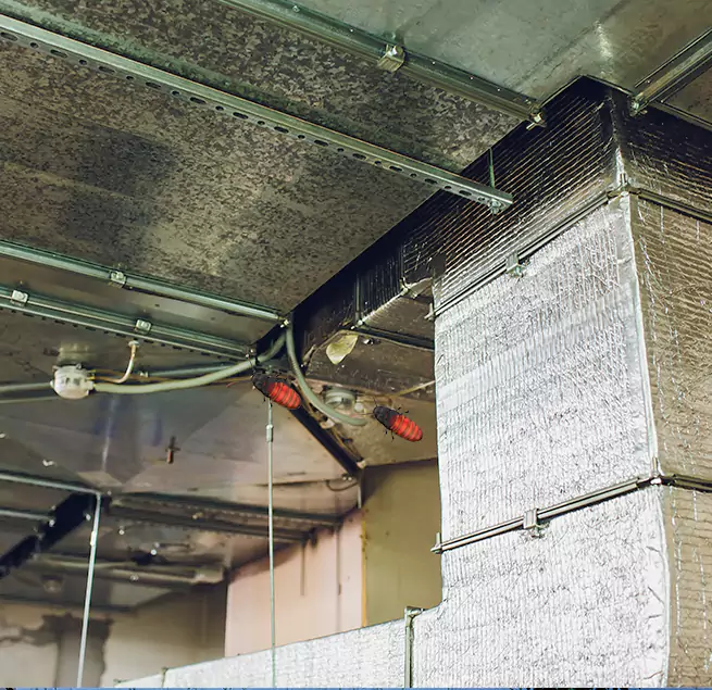 Why Homeowners & Businesses Trust Us New Haven, CT?