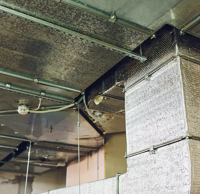 Why Homeowners & Businesses Trust Us in New Haven, CT?